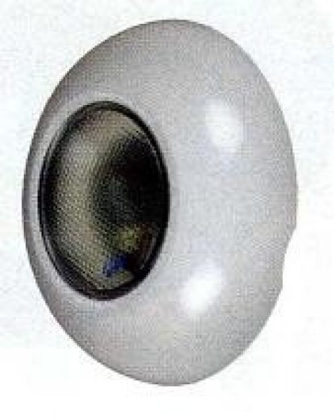 Projecteur 100w Hayward Piscine Bois Transfo 300va
